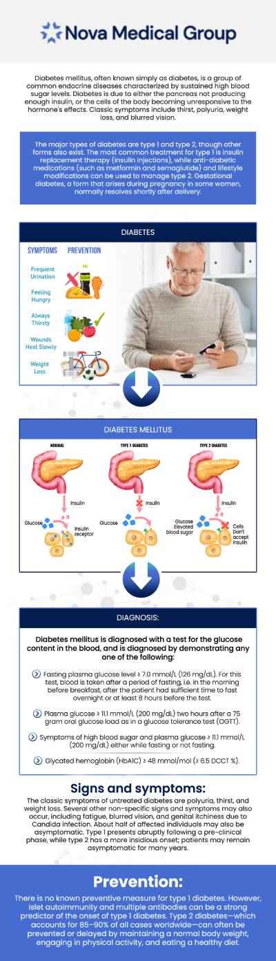 The Diabetes Management Program assists diabetics in effectively lowering their blood sugar levels and reducing the risk of complications. Collaborating with a healthcare professional is crucial in developing a personalized diabetes management plan that caters to your individual requirements. Let our team of medical professionals at Nova Medical Group, help treat your diabetes so that you can enjoy living a healthier and longer life! To learn more about the management of diabetes, contact us or schedule an appointment online. We are conveniently located at 401 N Bedford St, East Bridgewater, MA 02333. The Diabetes Management Program assists diabetics in effectively lowering their blood sugar levels and reducing the risk of complications. Collaborating with a healthcare professional is crucial in developing a personalized diabetes management plan that caters to your individual requirements. Let our team of medical professionals at Nova Medical Group, help treat your diabetes so that you can enjoy living a healthier and longer life! To learn more about the management of diabetes, contact us or schedule an appointment online. We are conveniently located at 401 N Bedford St, East Bridgewater, MA 02333.